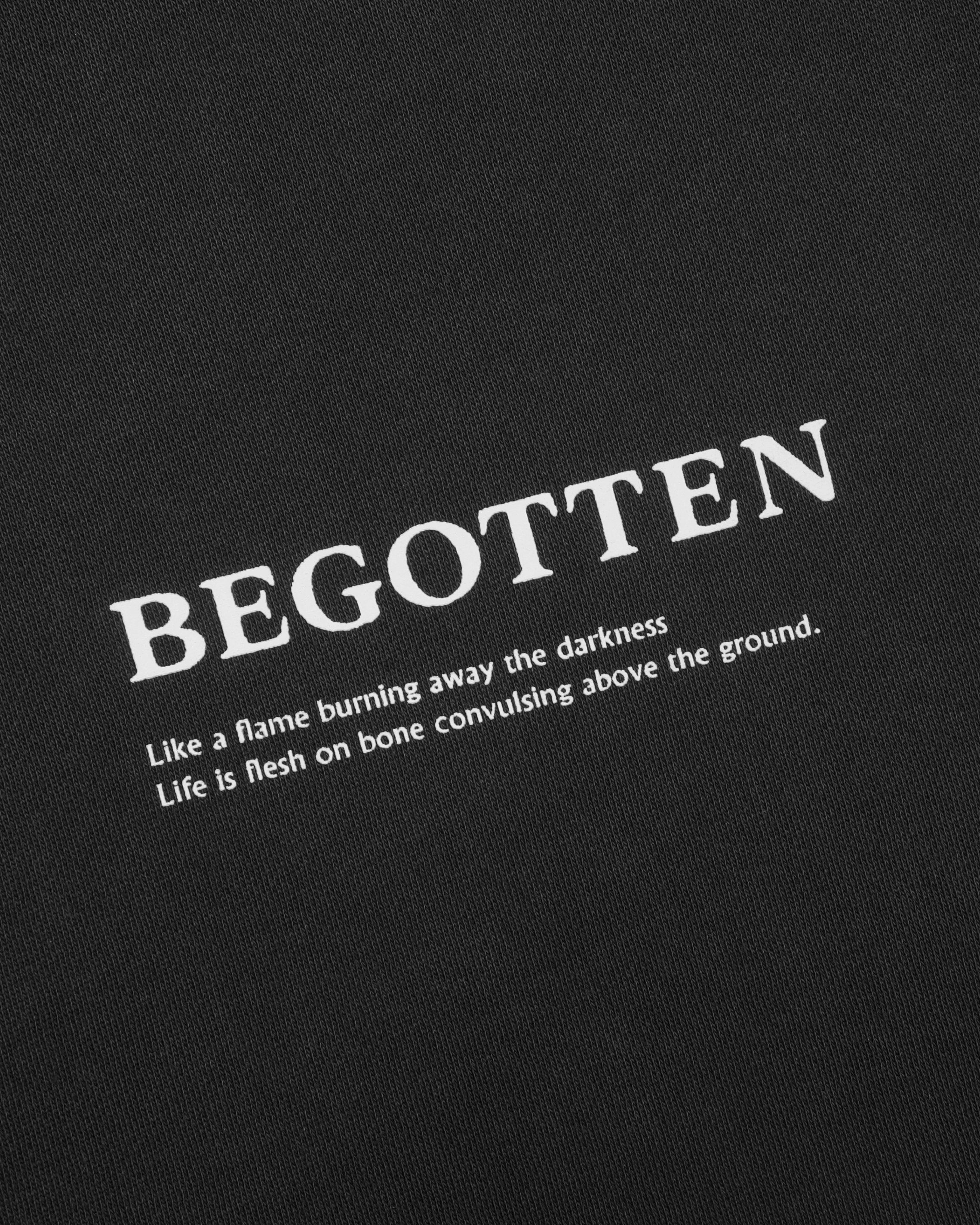 Begotten Hoodie (Vintage Black)